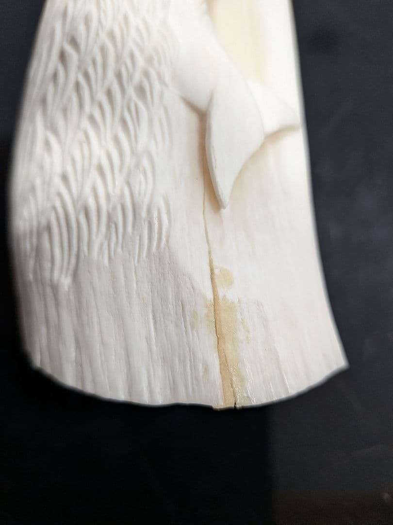 マッコウ鯨歯　本物（セミ鯨）彫刻