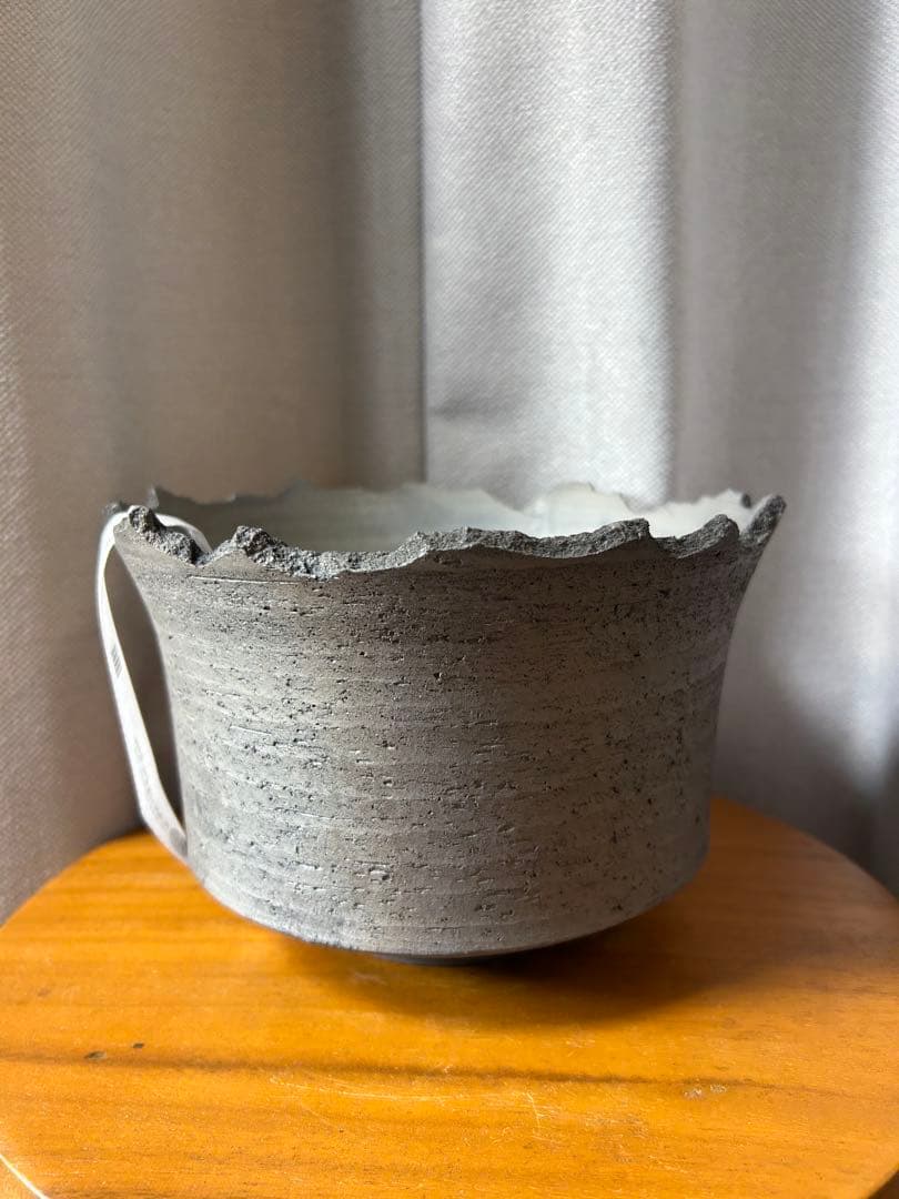 鶴仙園 三州みやび鉢 パキプスグラキリスInvisible ink SRL 大