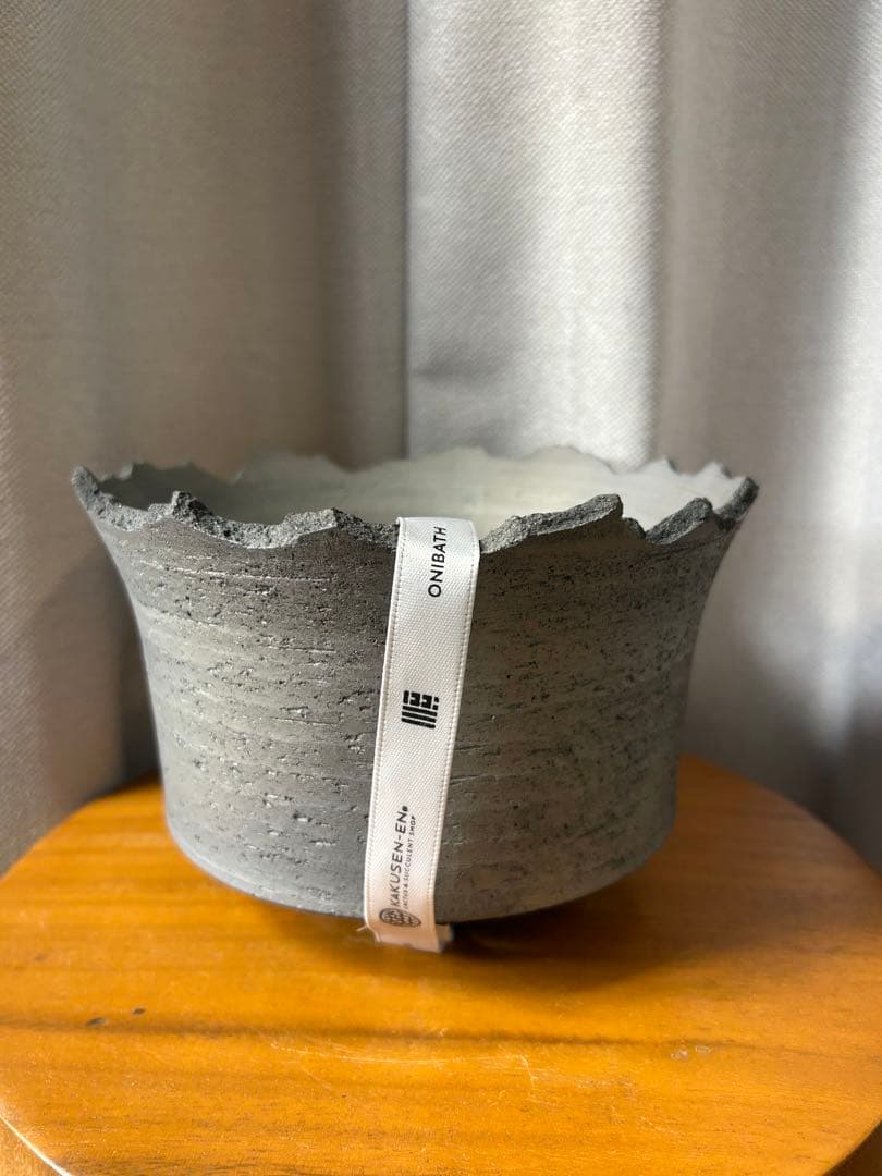 鶴仙園 三州みやび鉢 パキプスグラキリスInvisible ink SRL 大