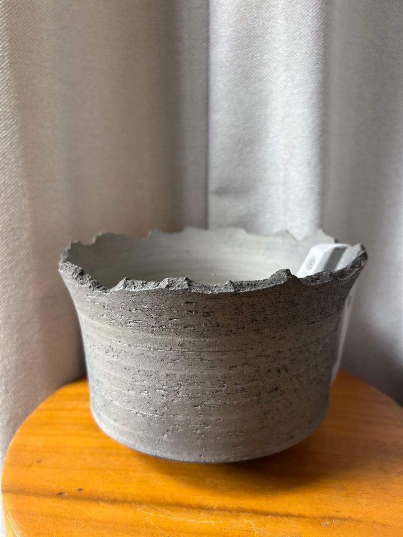 鶴仙園 三州みやび鉢 パキプスグラキリスInvisible ink SRL 大