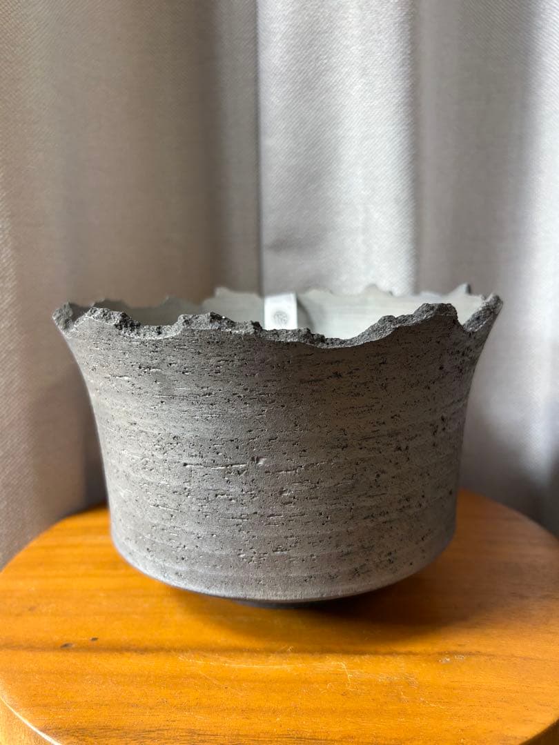 鶴仙園 三州みやび鉢 パキプスグラキリスInvisible ink SRL 大