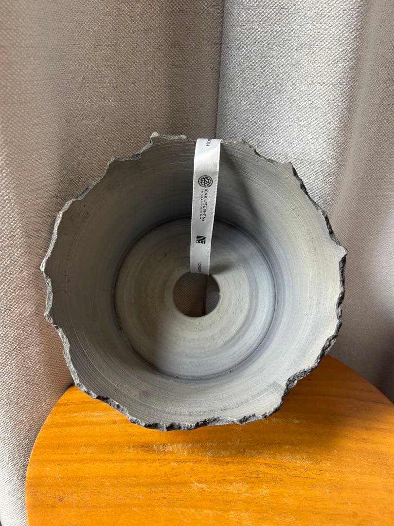 鶴仙園 三州みやび鉢 パキプスグラキリスInvisible ink SRL 大