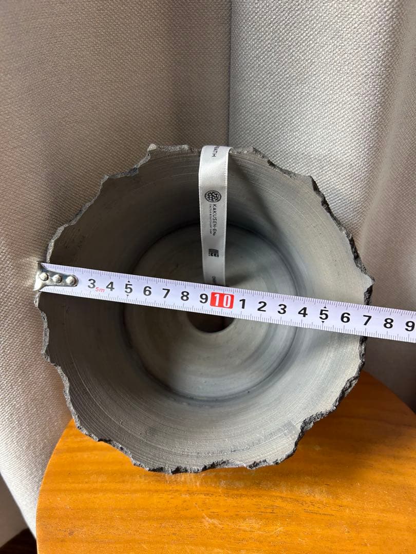 鶴仙園 三州みやび鉢 パキプスグラキリスInvisible ink SRL 大