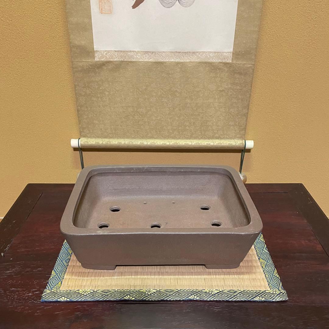 【落款あり】中村祐士 常滑 中野裕士 紫泥長方鉢