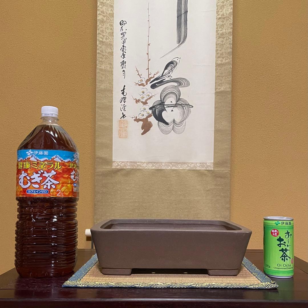 【落款あり】中村祐士 常滑 中野裕士 紫泥長方鉢