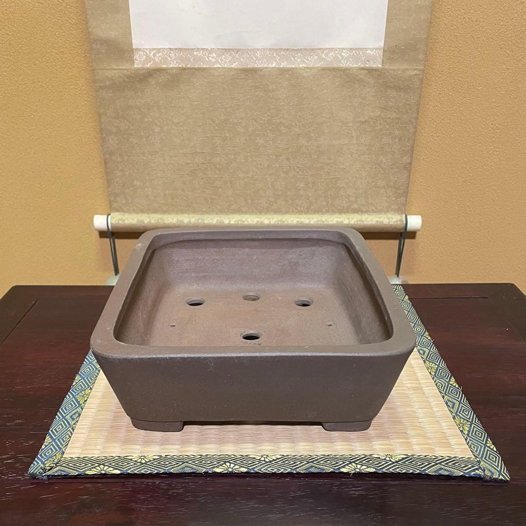 【落款あり】中村祐士 常滑 中野裕士 紫泥長方鉢