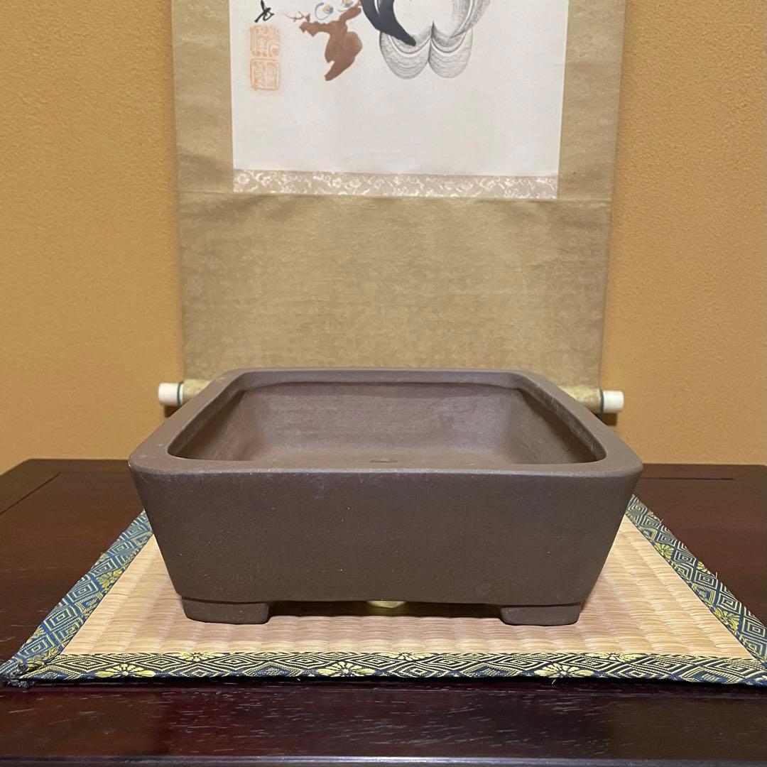 【落款あり】中村祐士 常滑 中野裕士 紫泥長方鉢