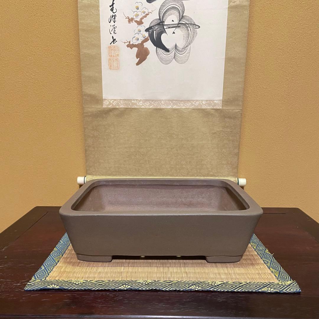 【落款あり】中村祐士 常滑 中野裕士 紫泥長方鉢