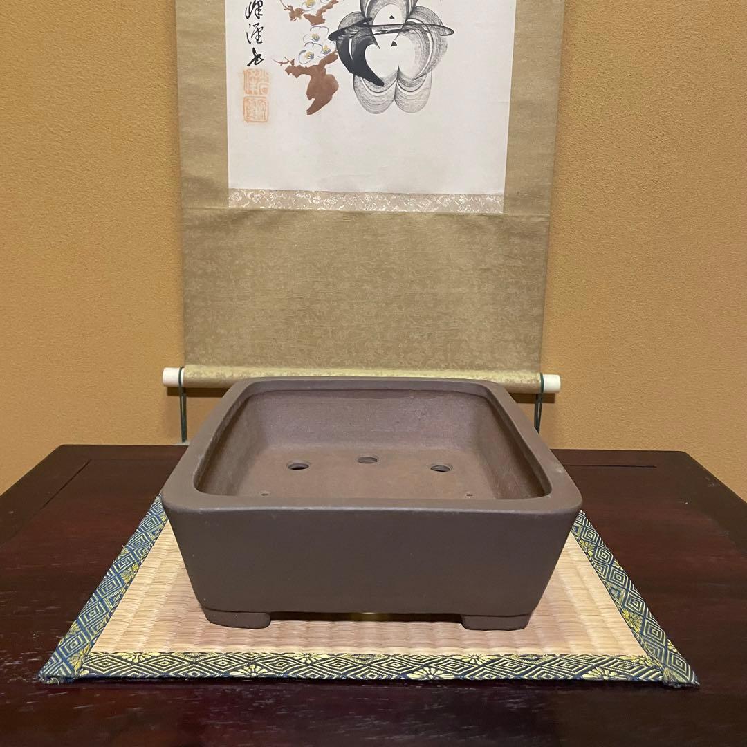 【落款あり】中村祐士 常滑 中野裕士 紫泥長方鉢