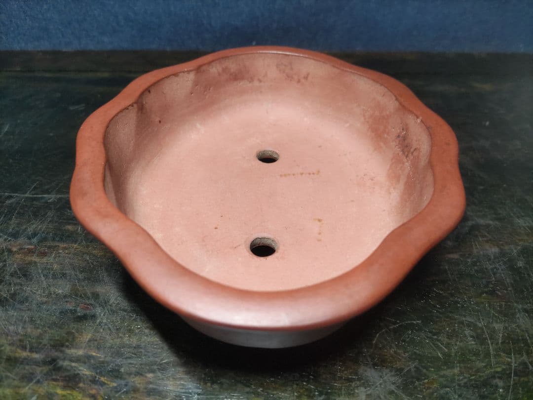 盆栽鉢　　中国宜興　希少品　　複数落款　　早い者勝ち