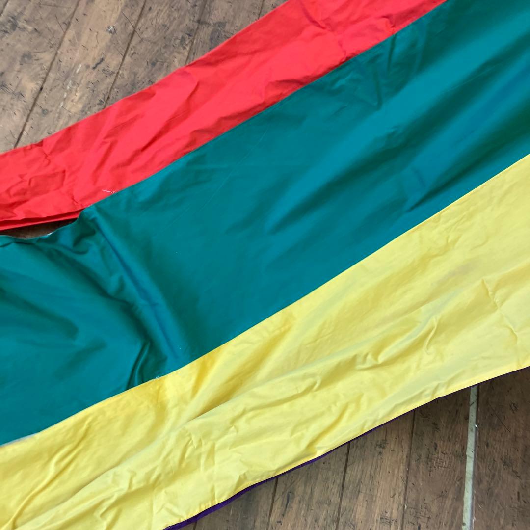 昭和レトロ 大阪 伝統工芸品 本染手捺染 堺五月鯉織 特大 鯉のぼり 羽二重金巾