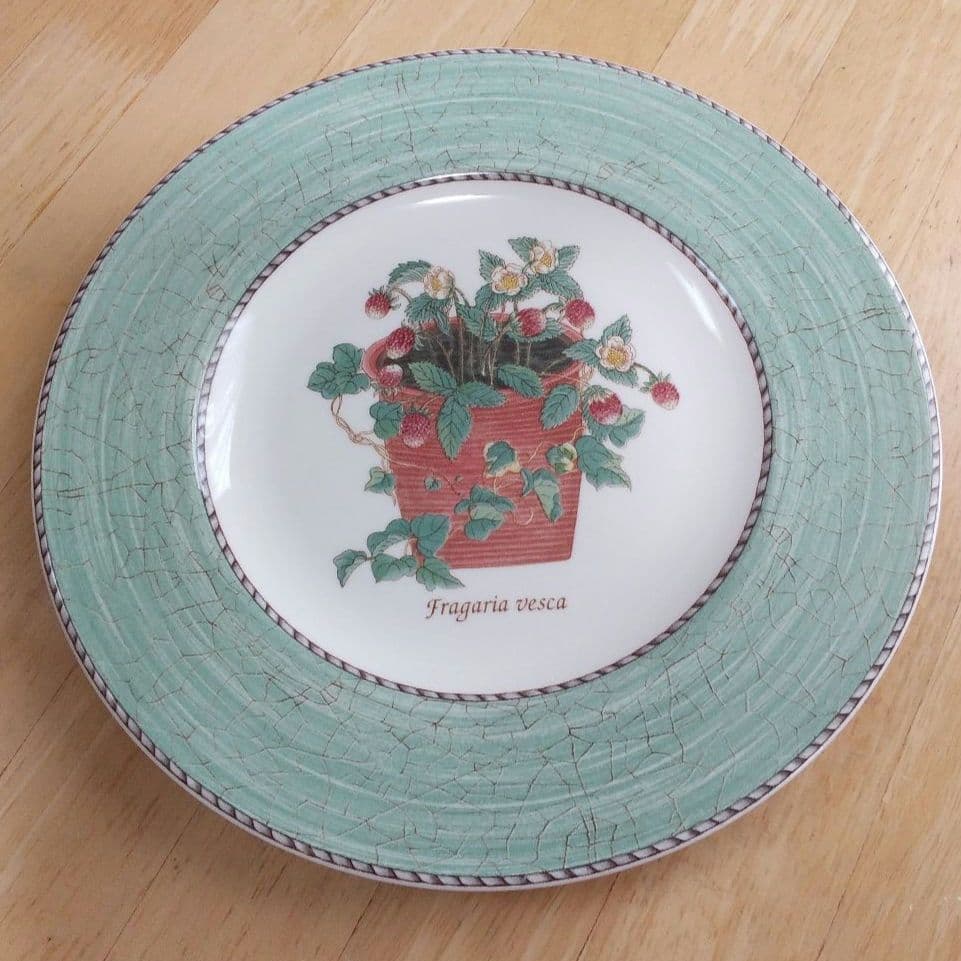 ウエッジウッド SARAH'S GARDEN プレート 21cm - メルカリ