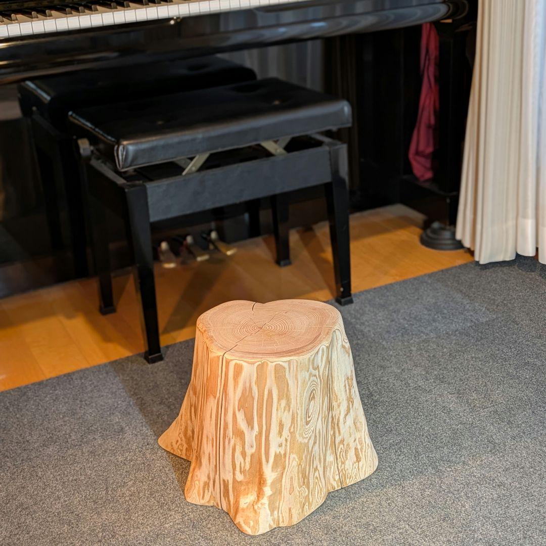 天然椹　サワラ　切り株　高さ約29.5㎝