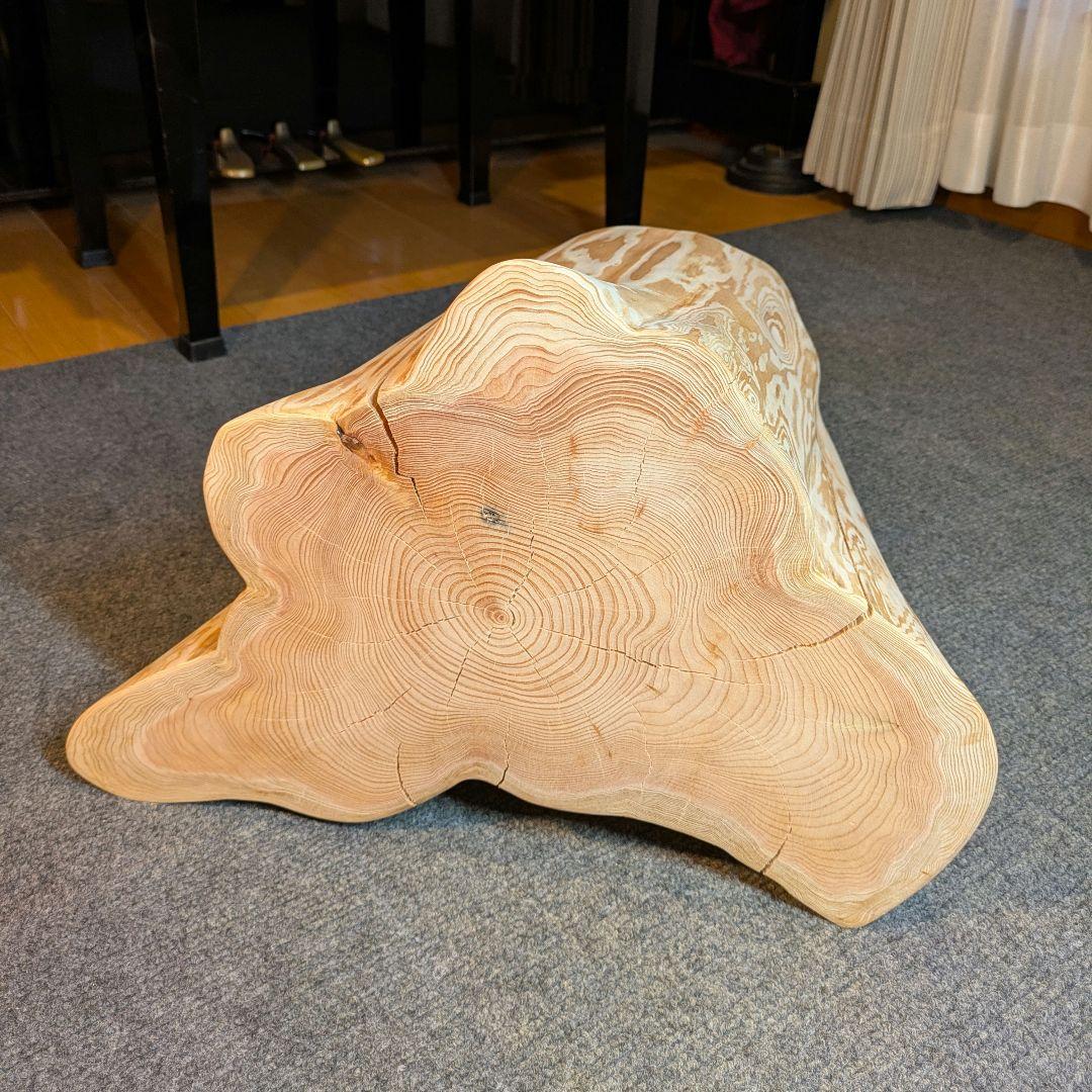 天然椹　サワラ　切り株　高さ約29.5㎝