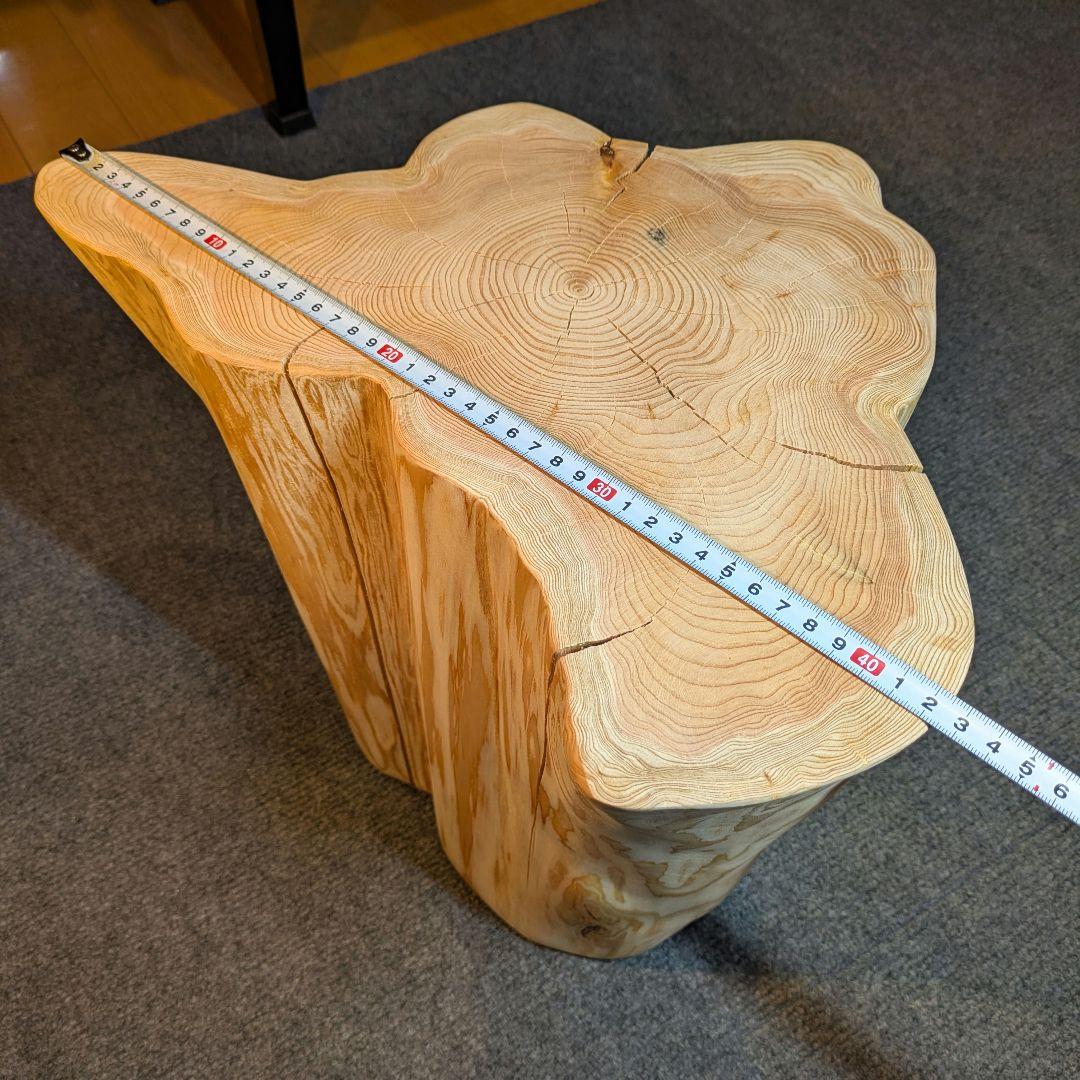 天然椹　サワラ　切り株　高さ約29.5㎝