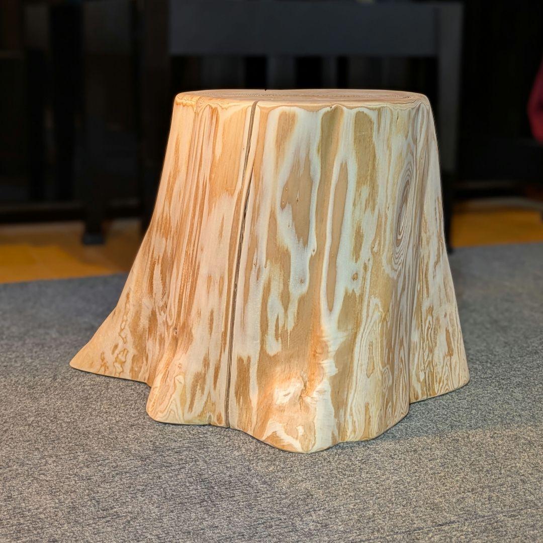 天然椹　サワラ　切り株　高さ約29.5㎝