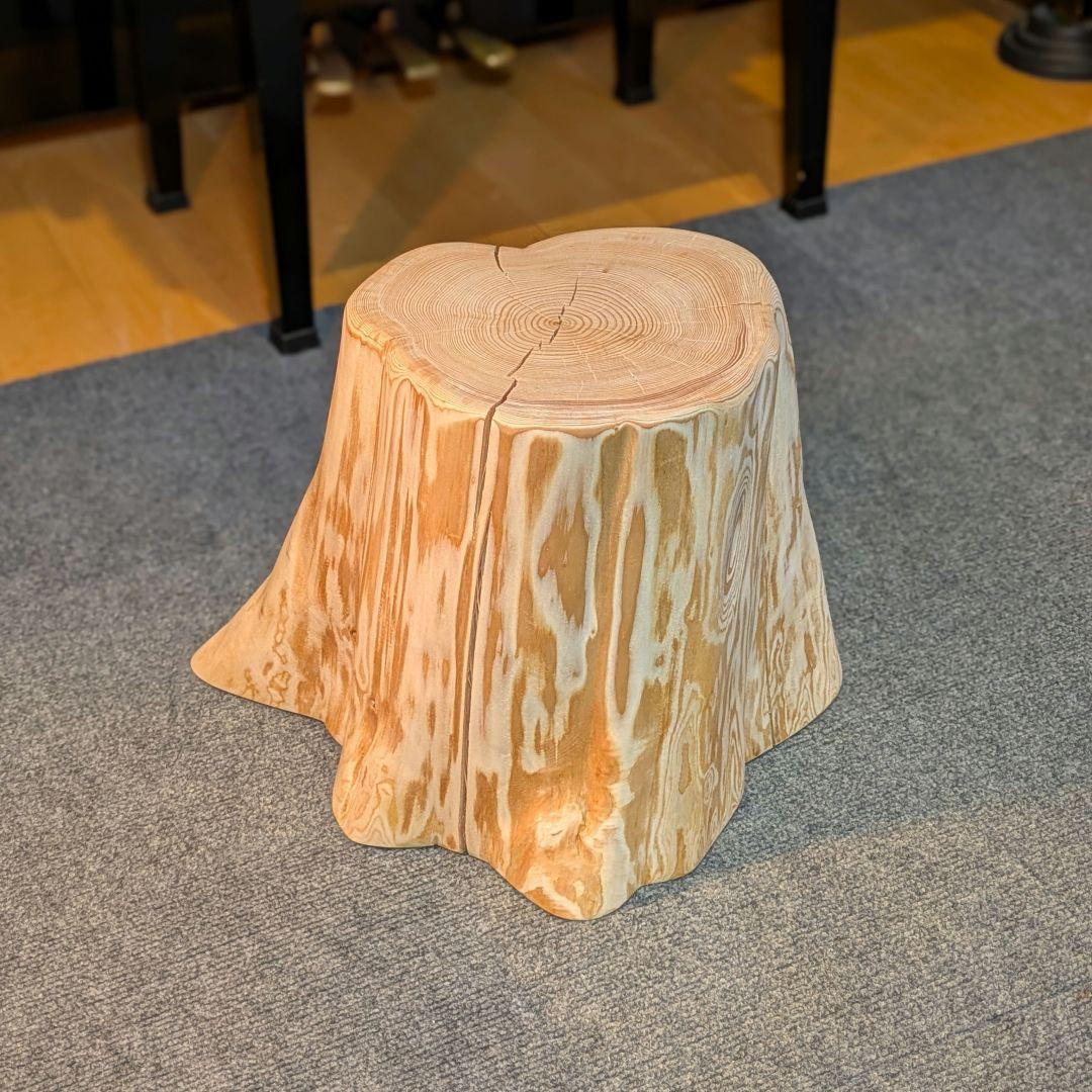 天然椹　サワラ　切り株　高さ約29.5㎝