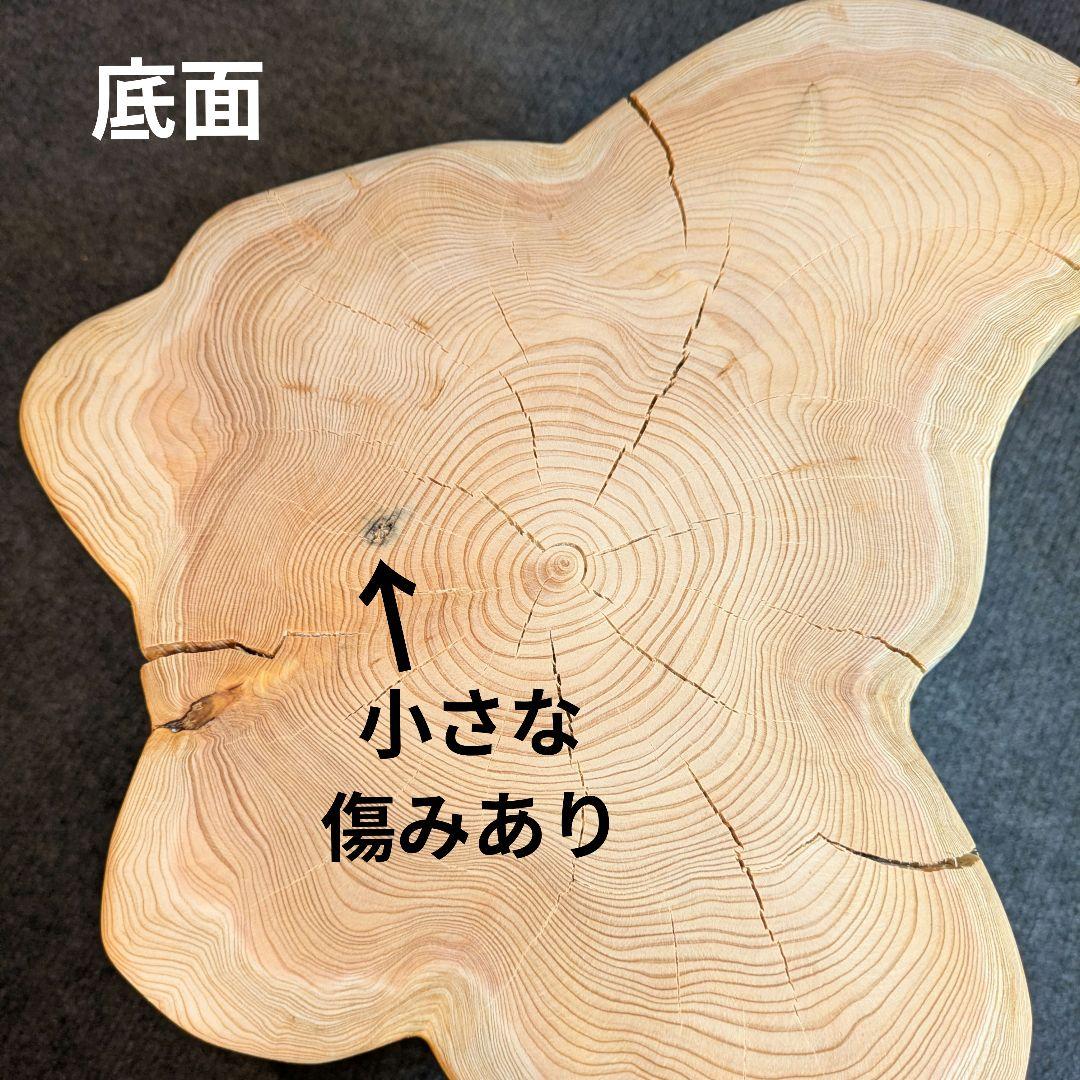 天然椹　サワラ　切り株　高さ約29.5㎝