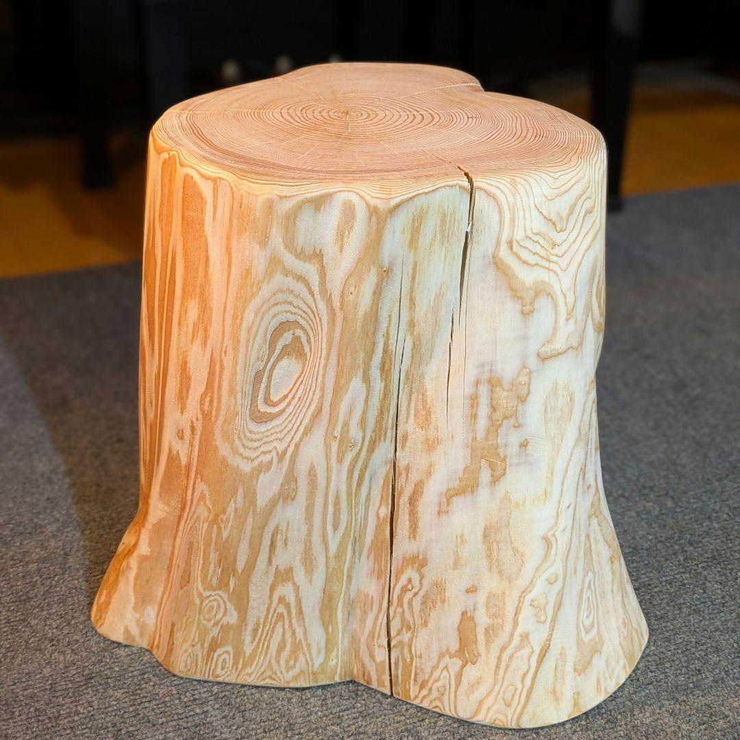 天然椹　サワラ　切り株　高さ約29.5㎝