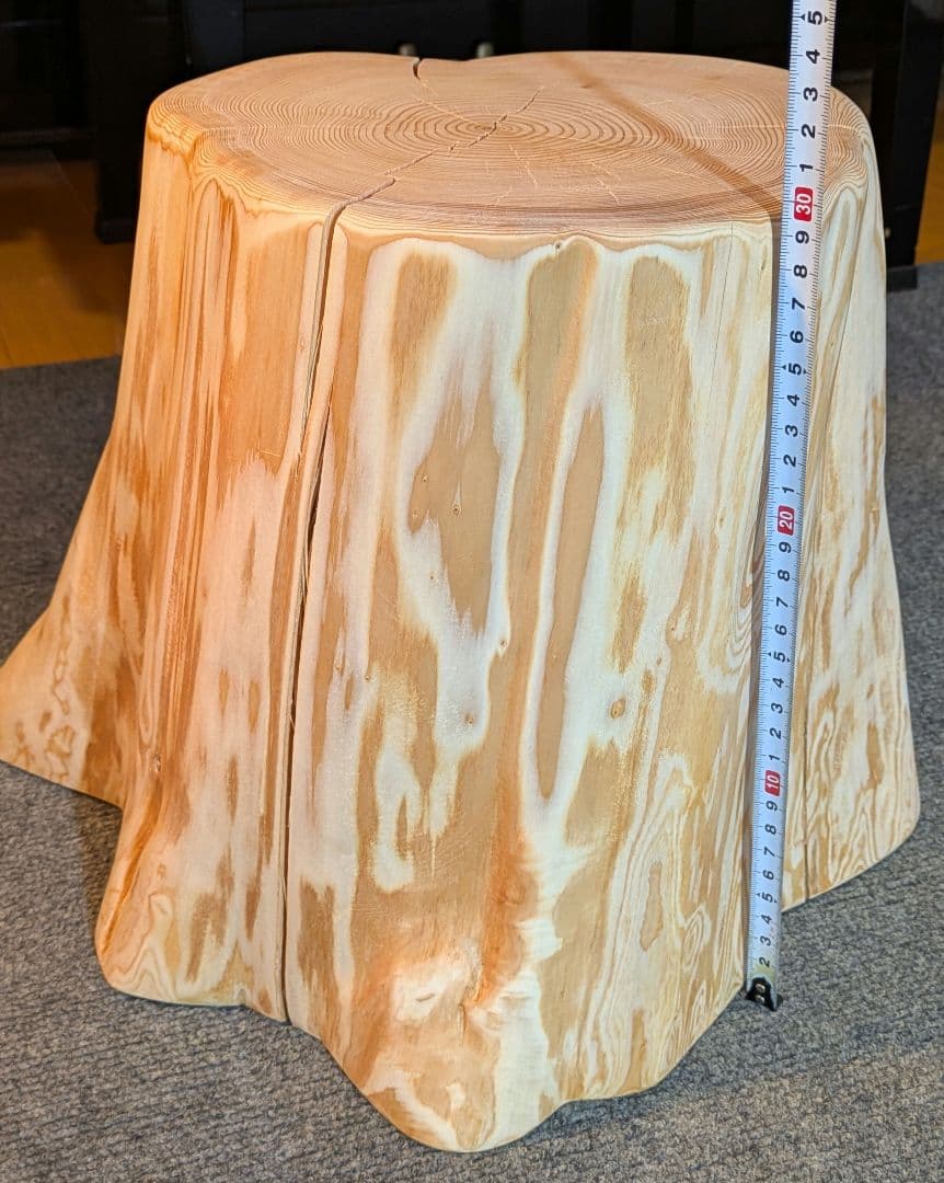 天然椹　サワラ　切り株　高さ約29.5㎝