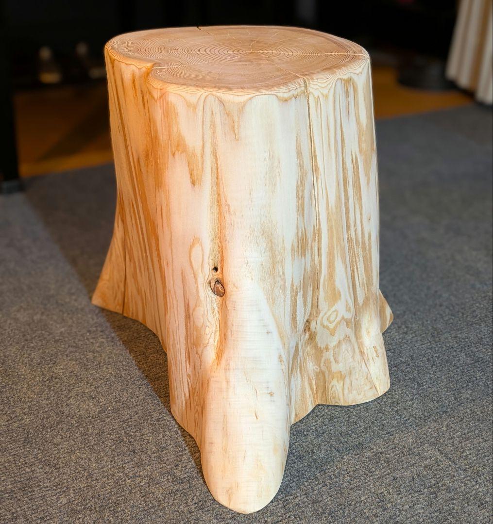 天然椹　サワラ　切り株　高さ約29.5㎝