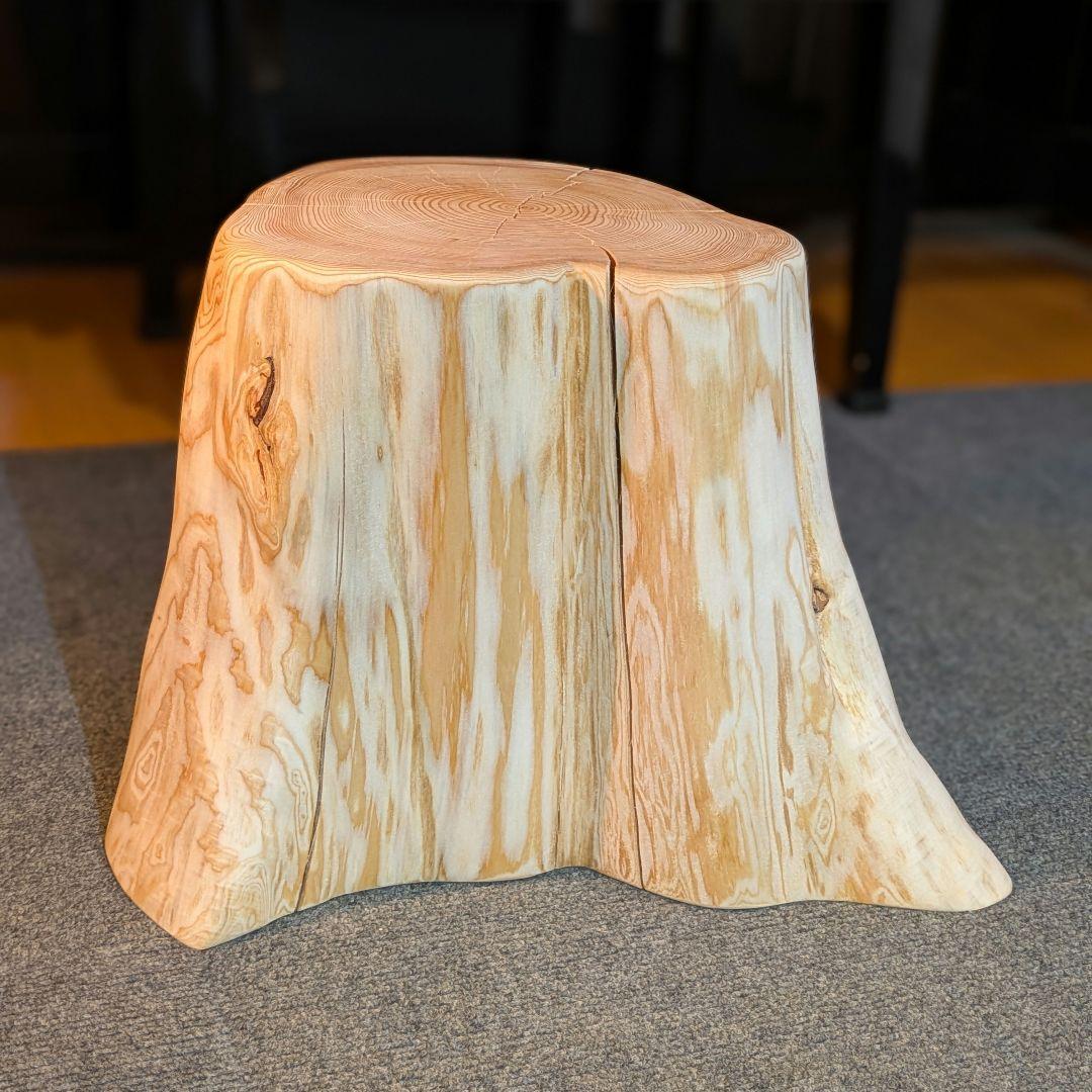 天然椹　サワラ　切り株　高さ約29.5㎝