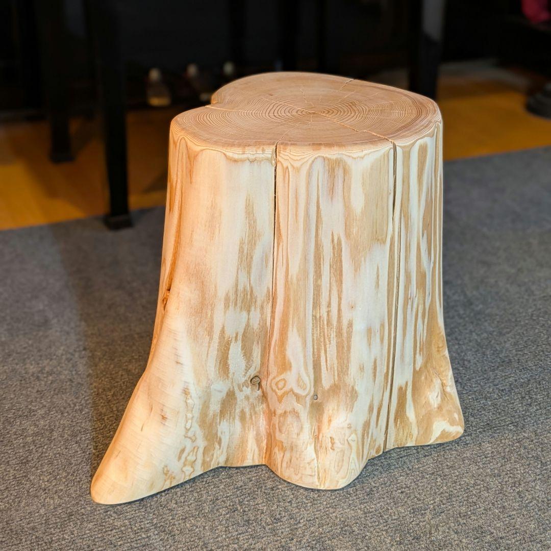 天然椹　サワラ　切り株　高さ約29.5㎝