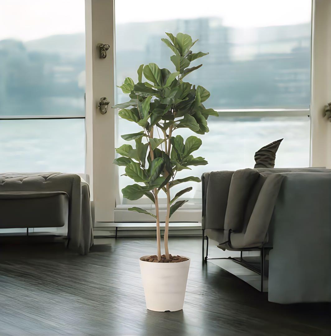 光触媒　人工観葉植物　ウォールグリーン　フェイクグリーン　カシワバゴム1.8@g