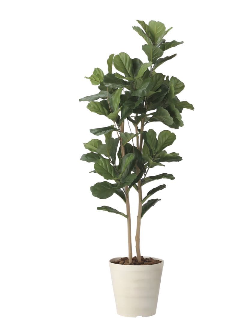 光触媒　人工観葉植物　ウォールグリーン　フェイクグリーン　カシワバゴム1.8@g