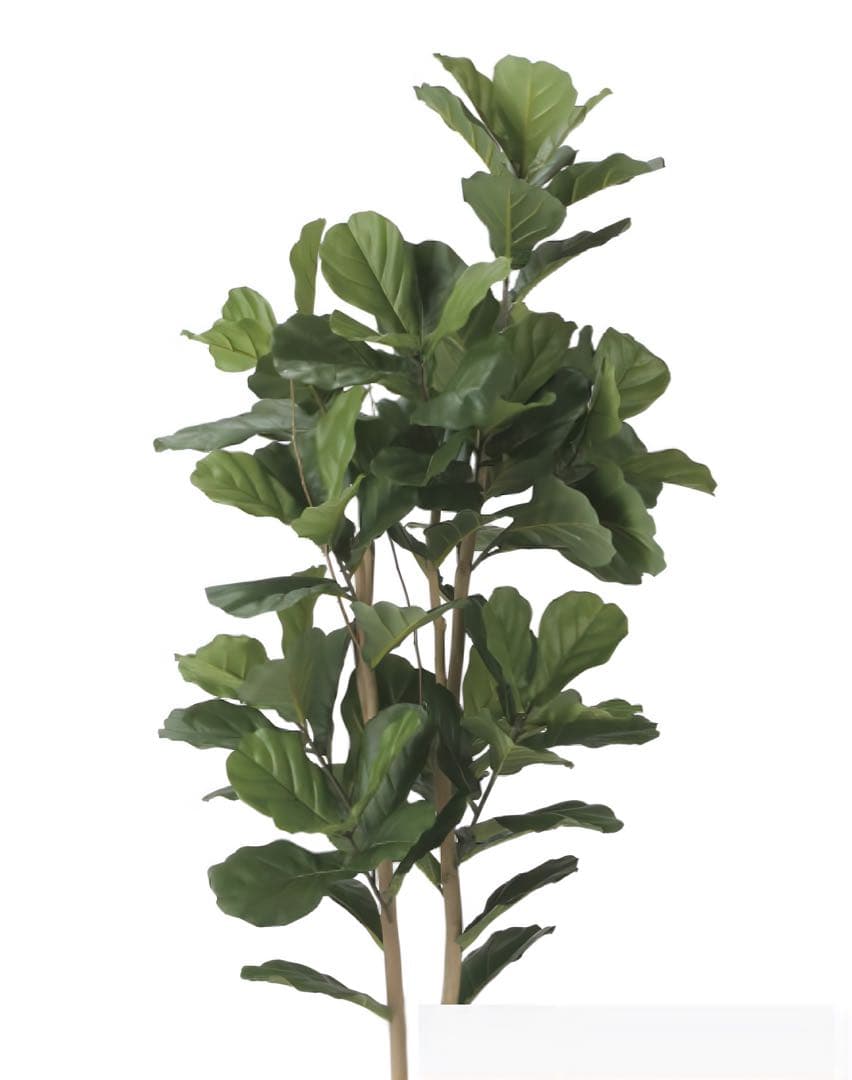 光触媒　人工観葉植物　ウォールグリーン　フェイクグリーン　カシワバゴム1.8@g