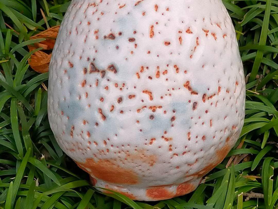 ♥未使用　各務周海　志野　徳利　共箱付き