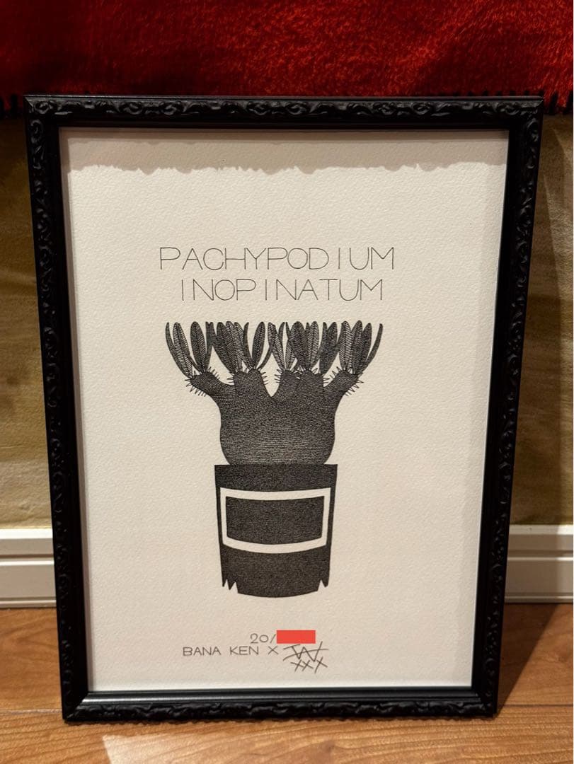 invisible ink × botanize × BANAKEN 点描画