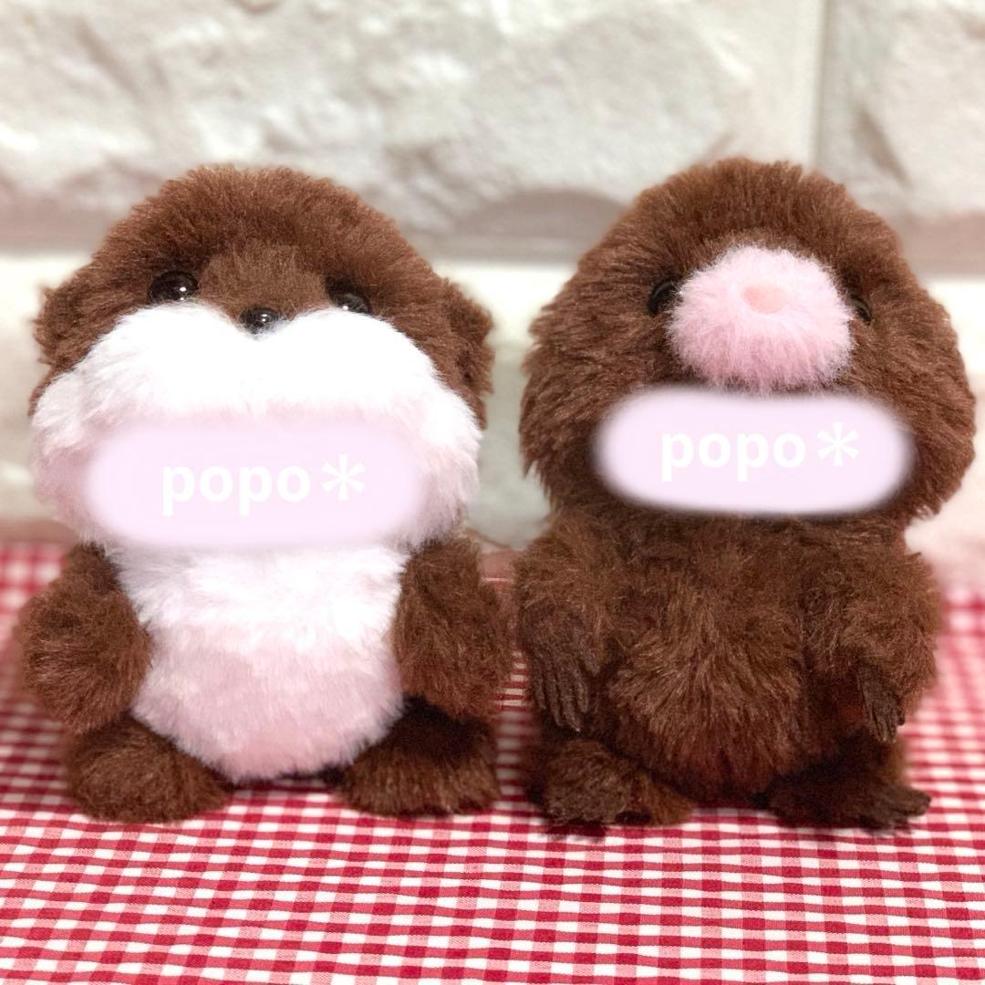 ⑧様】レッサーパンダ＆コツメカワウソ＆コウベモグラ＆アメリカ