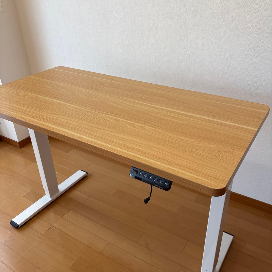Flexispot EF1 電動昇降式デスク120cm x 60cm（送料込み）