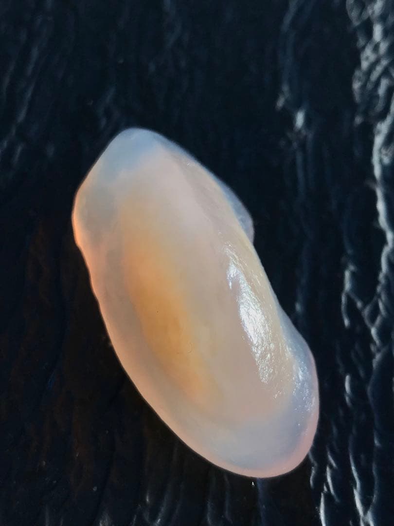 ゴビ石−1188 ゴビ瑪瑙　原石