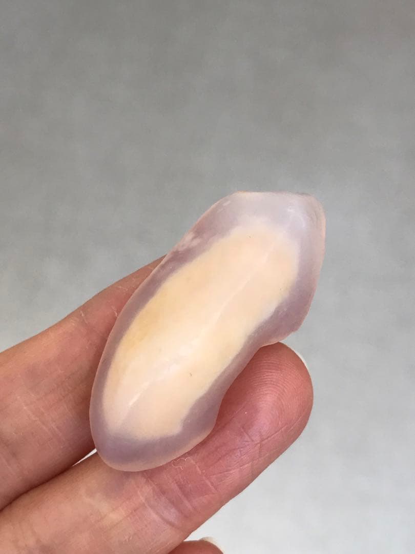 ゴビ石−1188 ゴビ瑪瑙　原石