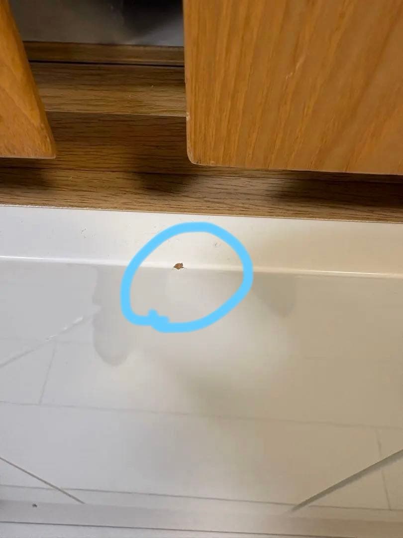 食器棚　本日限定値下げ！　幅105センチ　大容量　北欧系