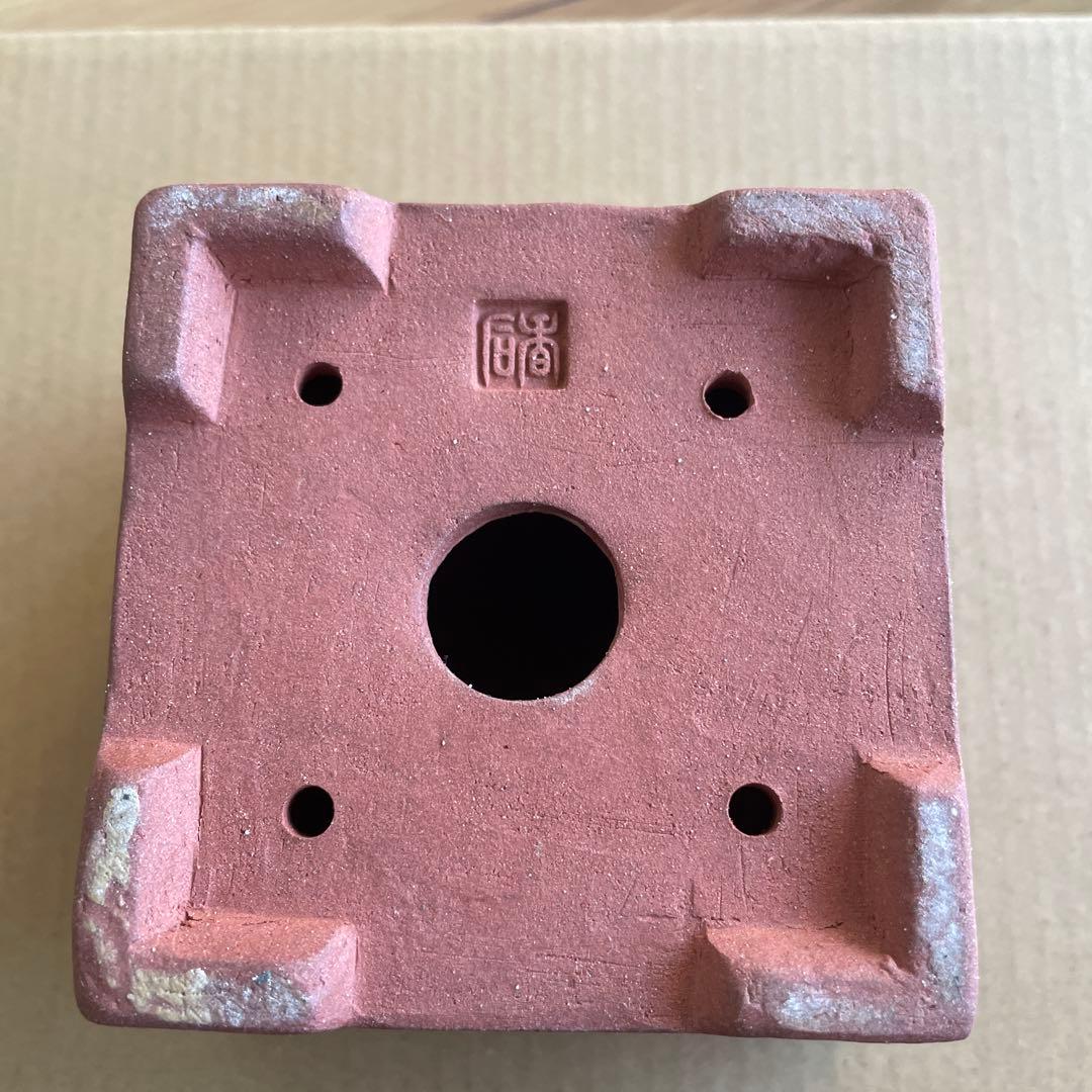 盆栽鉢 桑津香石 植木鉢 落款印 鳥 山野草 大きめ 四角形