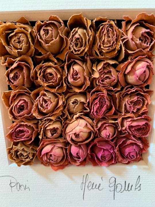 アートフレーム　ローズ