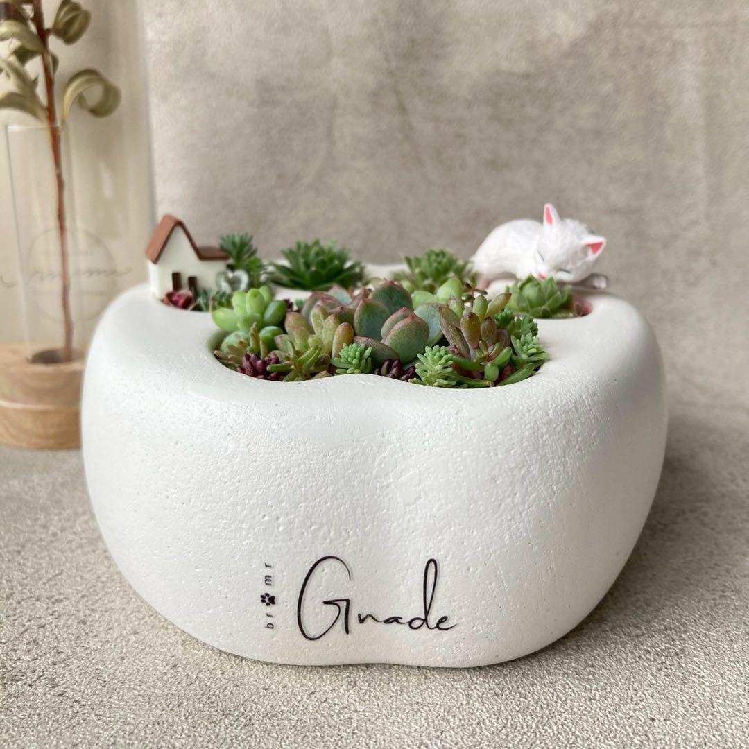 ꕥ多肉寄せ植えꕥお眠り中白猫ちゃん＆ハウスオブジェ付き