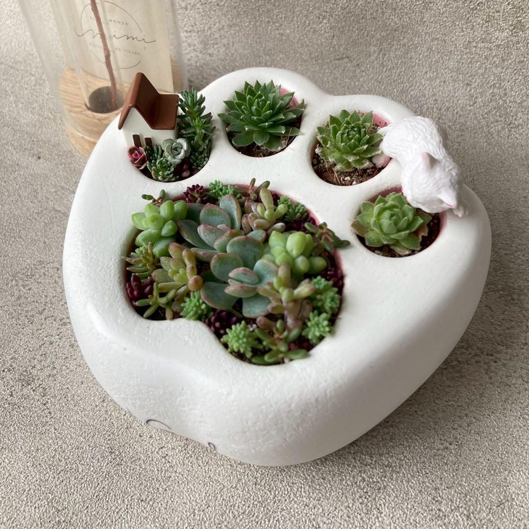 ꕥ多肉寄せ植えꕥお眠り中白猫ちゃん＆ハウスオブジェ付き