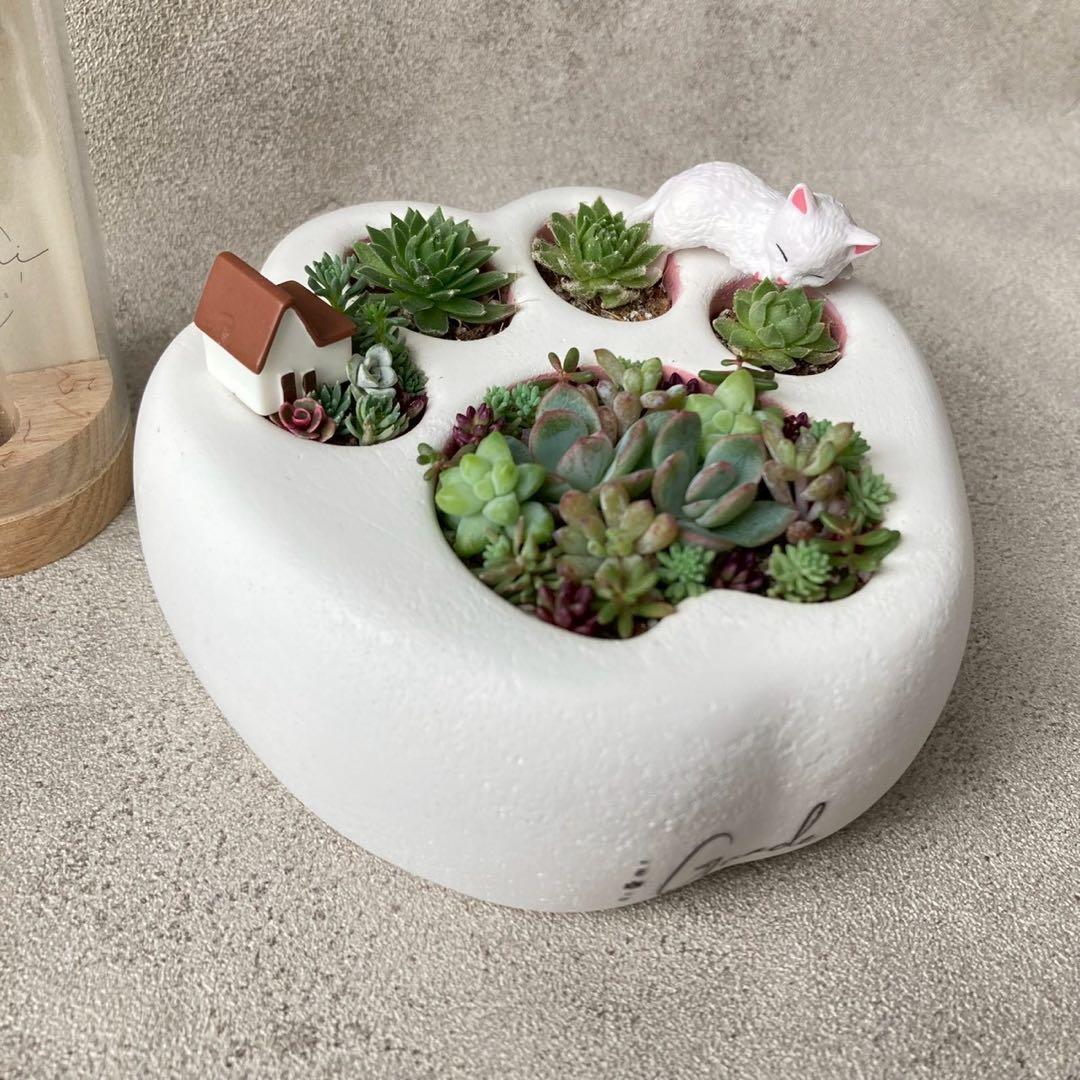 ꕥ多肉寄せ植えꕥお眠り中白猫ちゃん＆ハウスオブジェ付き
