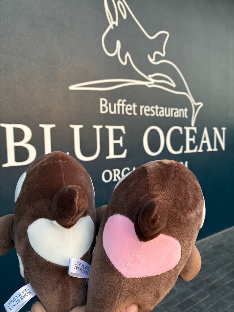 須磨シーワールド シャチ オルカくじ 新色 ショコラデュオカラー 4等