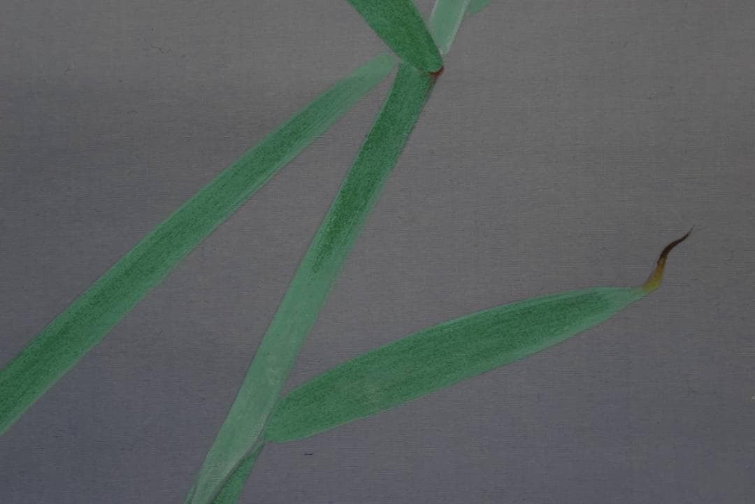 【真作】梅村素渓/池畔図/芦に水禽図/横物/水鳥図/掛軸/名家伝来/AA-270