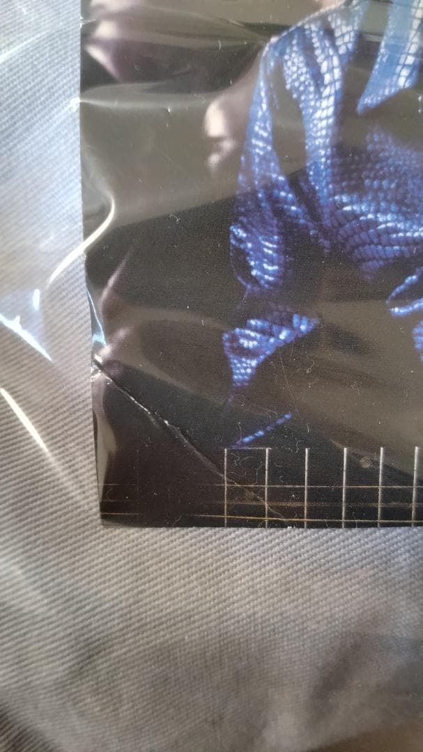 希少！甲斐バンド50周年記念VIP席限定パズル（甲斐よしひろVer）