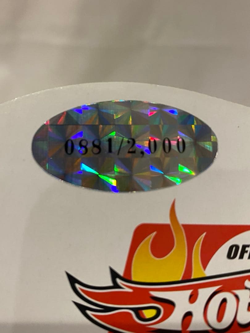 HotWheels FLYING CUSTOMS 71 Van 超超激レア‼️