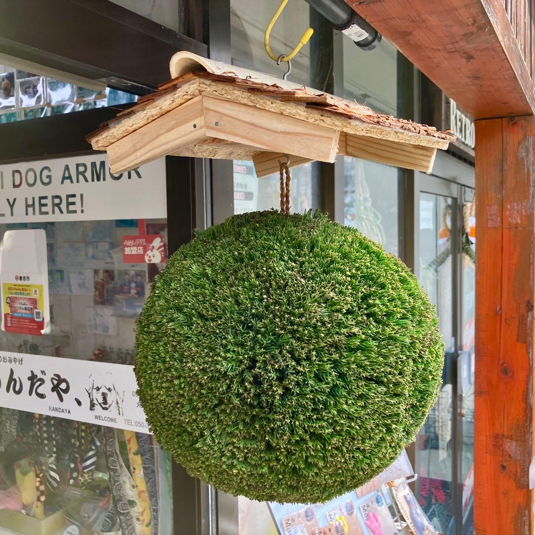 杉玉【屋根付き】① - メルカリ