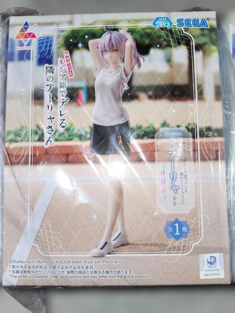 5日迄値下げ中　ロシデレ　アーリャ　18点