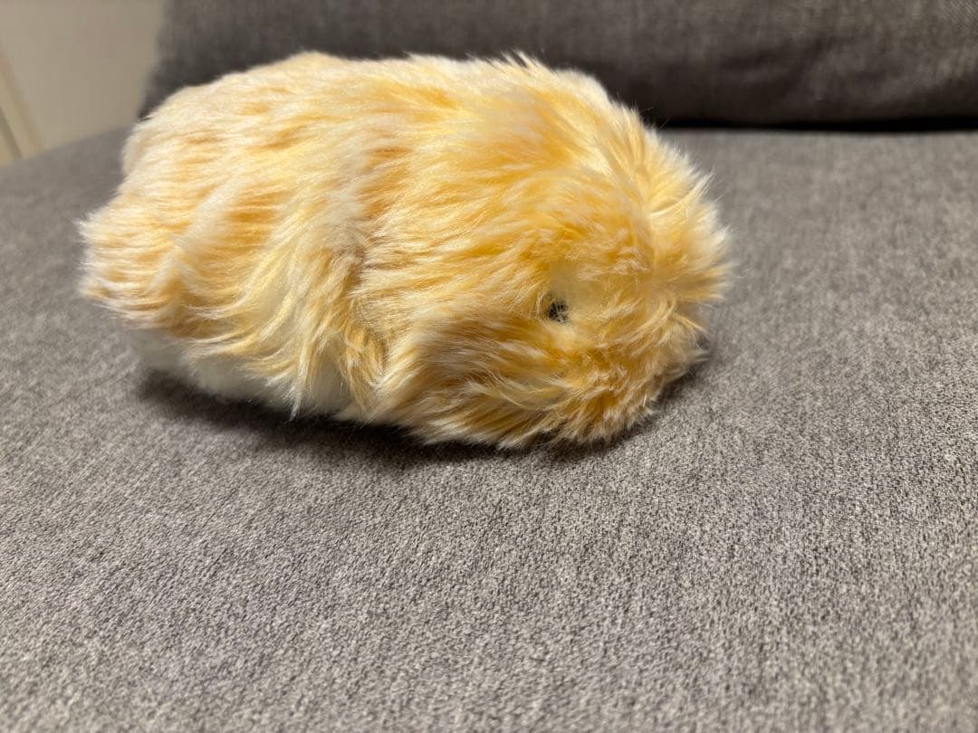 ❗️極美品❗️Moflin（モフリン）ゴールド