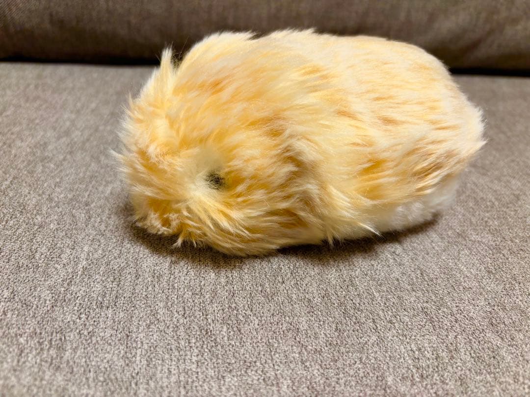 ❗️極美品❗️Moflin（モフリン）ゴールド
